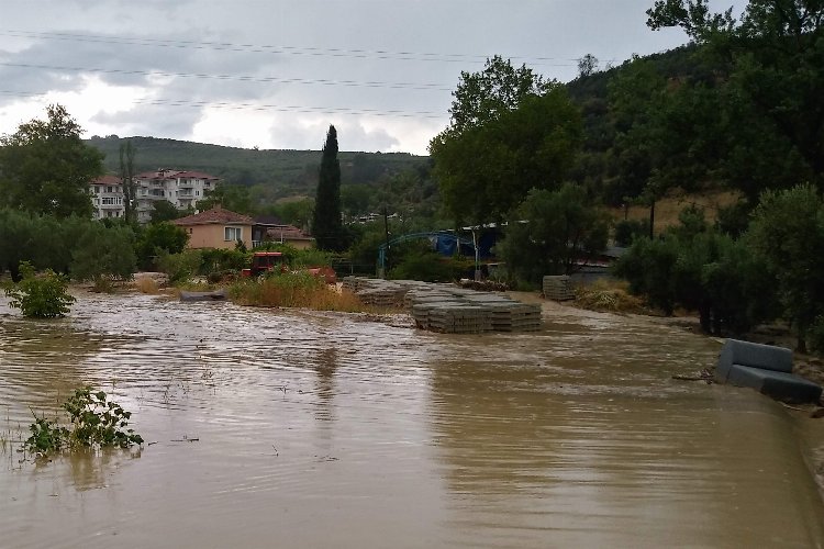 Bursa Mudanya'da 'sağanak' teslimiyet! 260 konutu su bastı, ağaçlar devrildi, dereler taştı! -