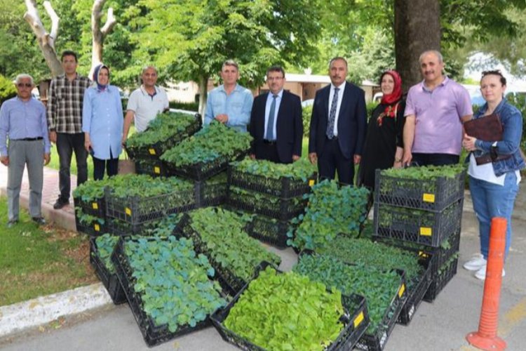 Bursa'nın Ata Tohumları Yenişehir'de fidelendi -