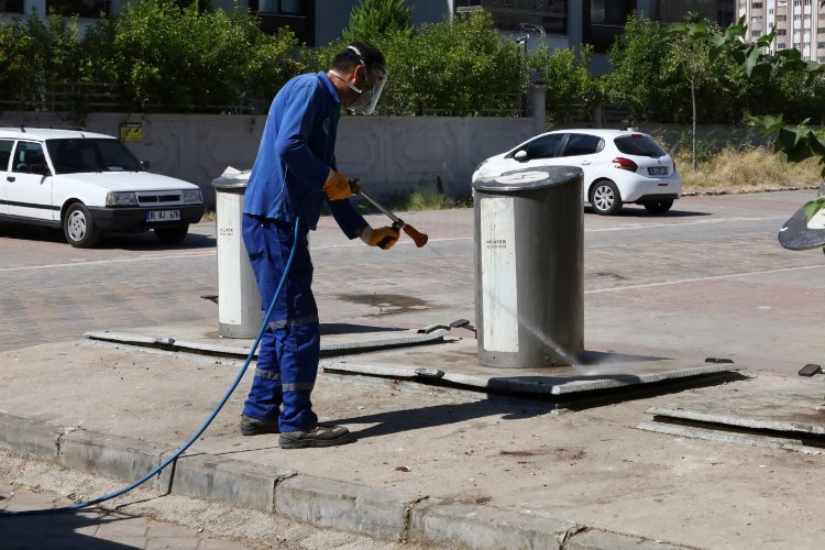 Bursa'nın sinekle mücadelesi laboratuvara taşındı -