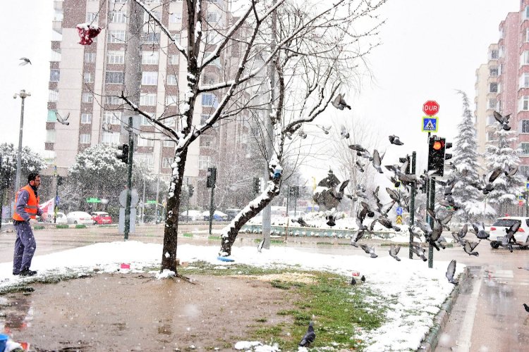 Bursa Yıldırım'da can dostları unutulmadı -