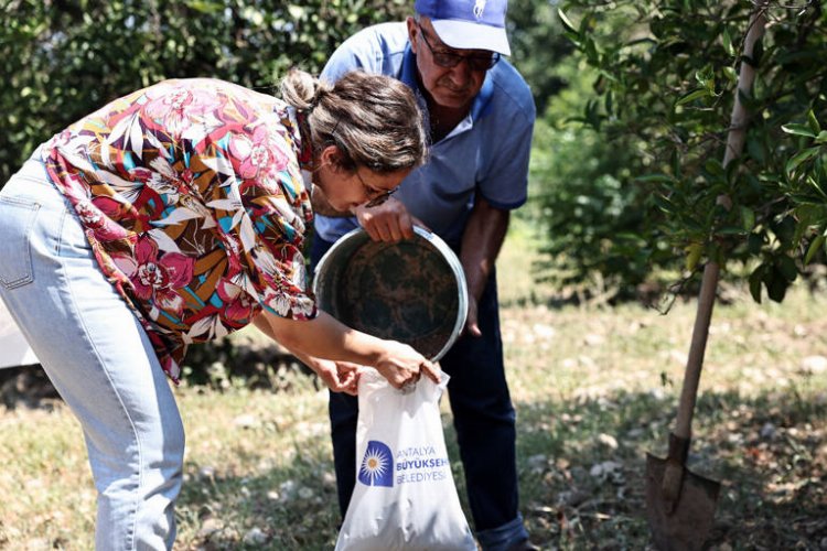 Büyükşehir çiftçinin toprağını analiz ediyor -