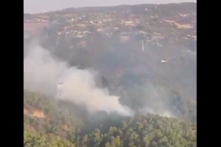 Çanakkale'deki yangında son durum... Çanakkele'de tedbir amaçlı kara ve deniz ulaşımı kapalı -