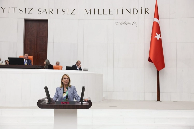 CHP'li vekilden bütçe eleştirisi -