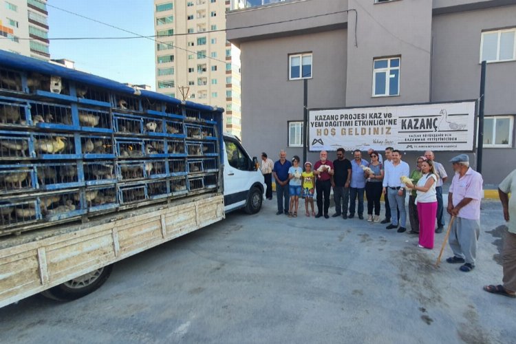 Çiftçiye kaz ve yem desteği -