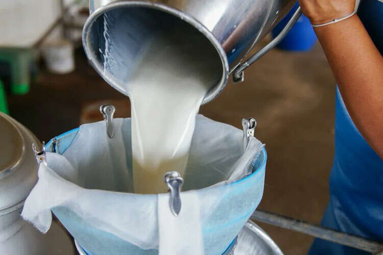 Çiğ süt üretimi azaldı! -