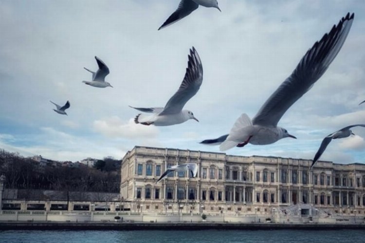 Çinli ve Türk Z kuşağı, fotoğraf yarışmasında buluştu -