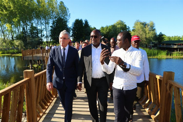 Dünya Acarlar Longozu’nu keşfedecek -