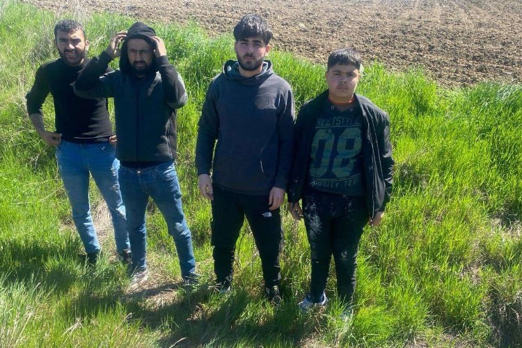 Edirne'de 4 göçmen yakalandı! -