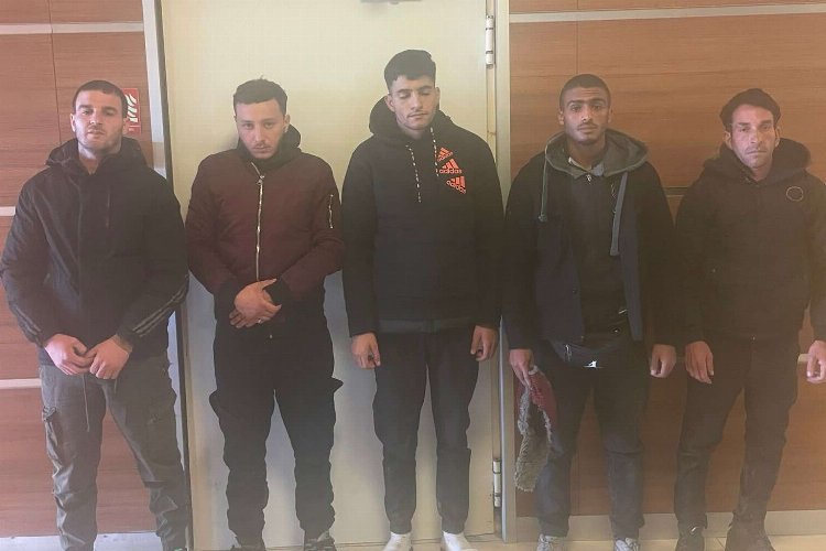 Edirne'de 5 göçmen yakalandı -