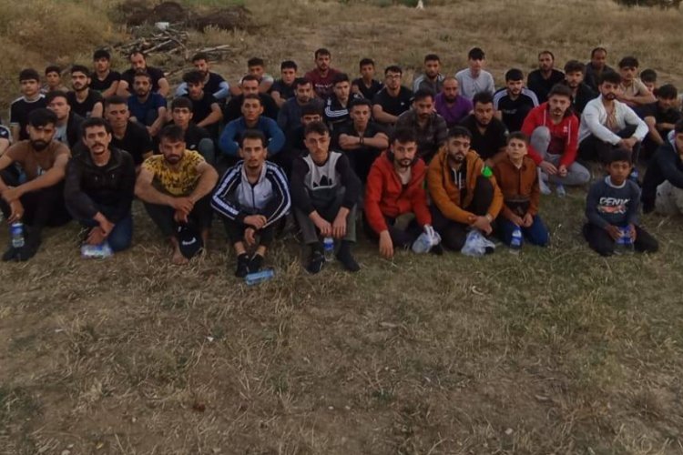 Edirne'de 64 kaçak göçmen yakalandı -