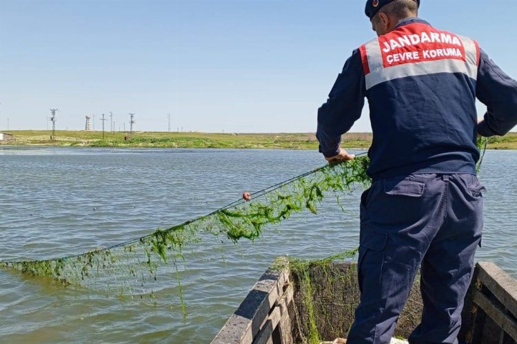 Edirne'de jandarma balık ağlarını topladı -