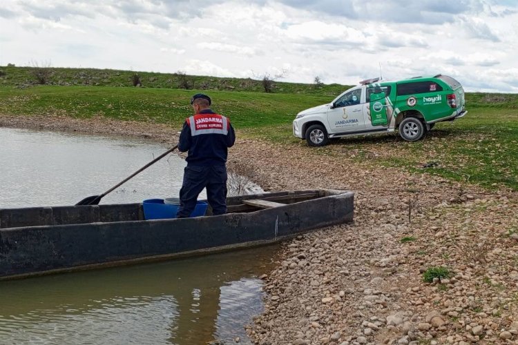 Edirne'de Jandarma'dan balık avına karşı tedbir -