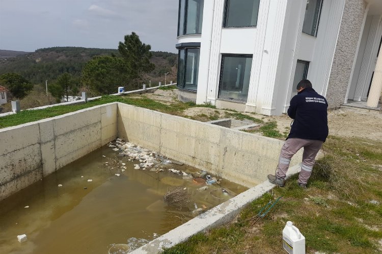 Edirne Keşan'da vektörel mücadele -
