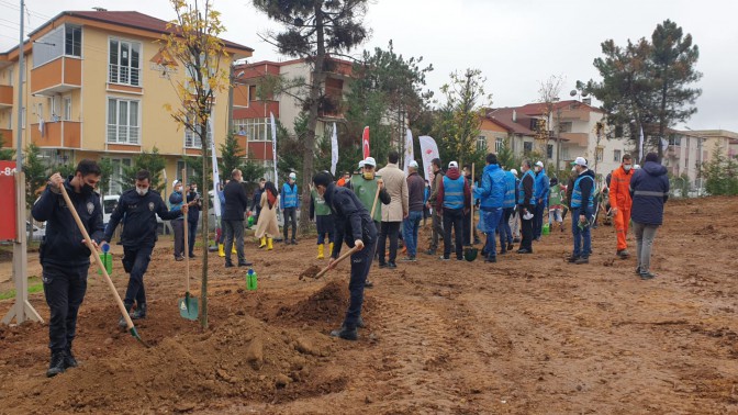 GAZİLER DAĞI, BÜYÜKŞEHİR FİDANLARI İLE YEŞERECEK