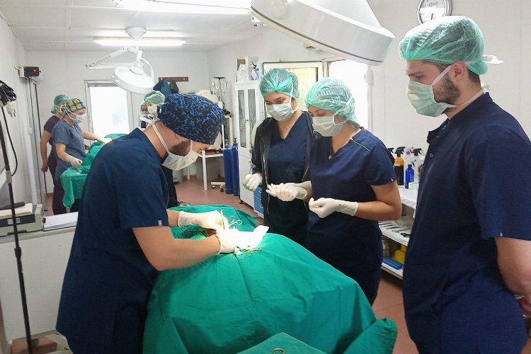 Geleceğin veteriner hekimlerine Osmangazi'de eğitim -