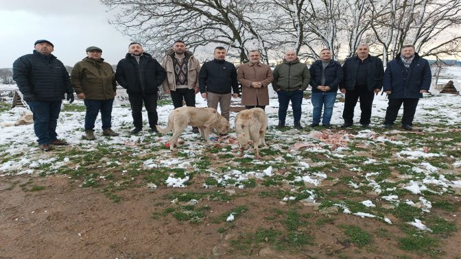 Giresun Yağlıdereliler Can Dostlarını Unutmadı