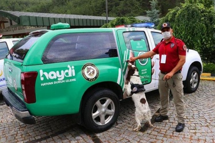 HAYDİ'yi 2 yılda 218 bin kişi indirdi -