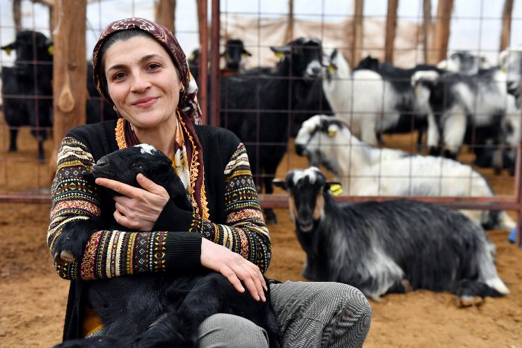 Hayvancılıkta üreticilerin desteklerle yüzleri güldü -