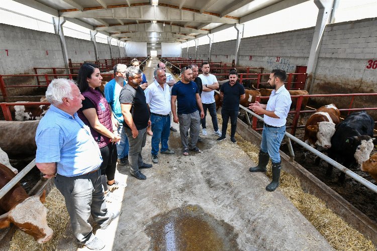 Çiftçiye ‘Hayvan besleme’ eğitimi! -