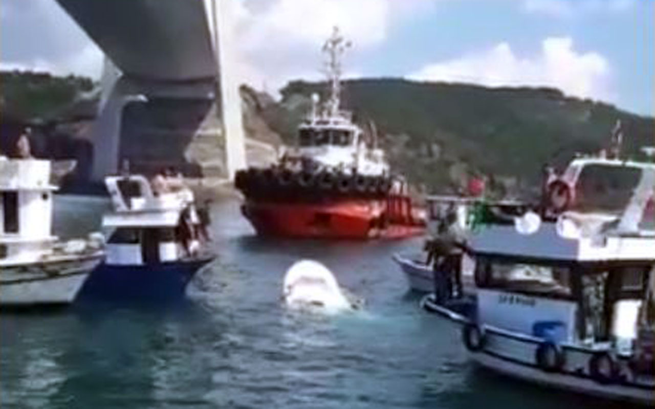 İstanbul’da gemi ile balıkçı teknesi çarpıştı!