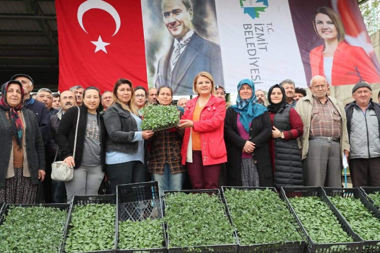 İzmit'ten çiftçiye 2 milyonluk fide desteği -