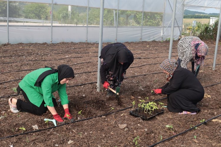 Kadın kooperatiflerine güçlü destek -