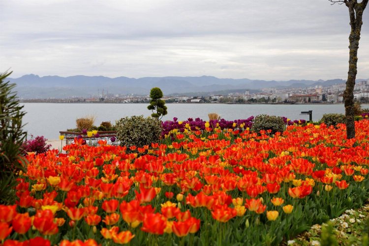 Karadeniz'in incisi Ordu -