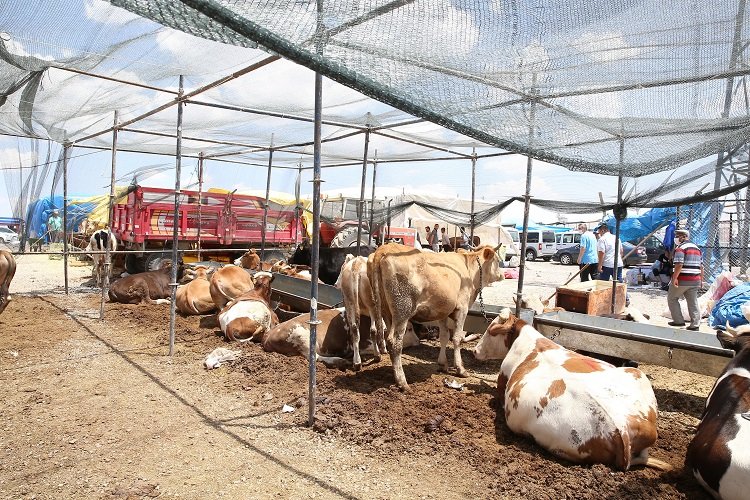 Kayseri Büyükşehir kurban tedbirlerini aldı -