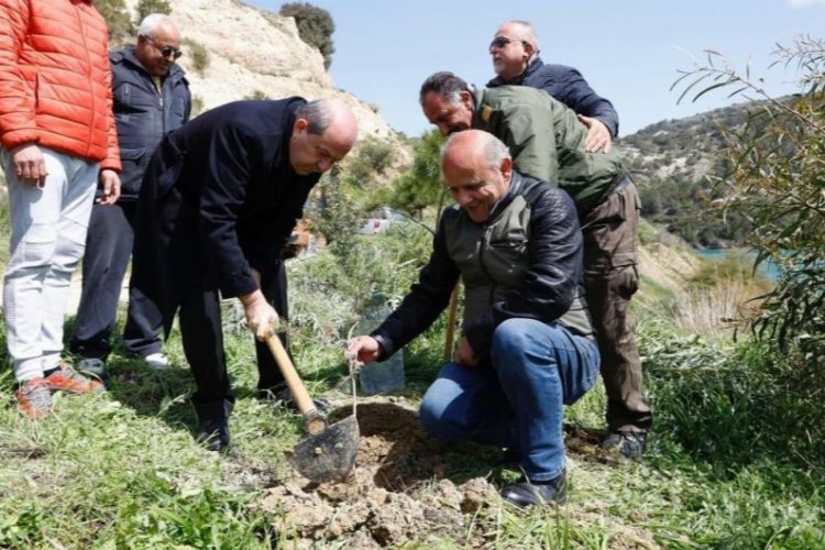 Kıbrıs'ta zeytin fidanı dikerek, yuva sahibi oldular -