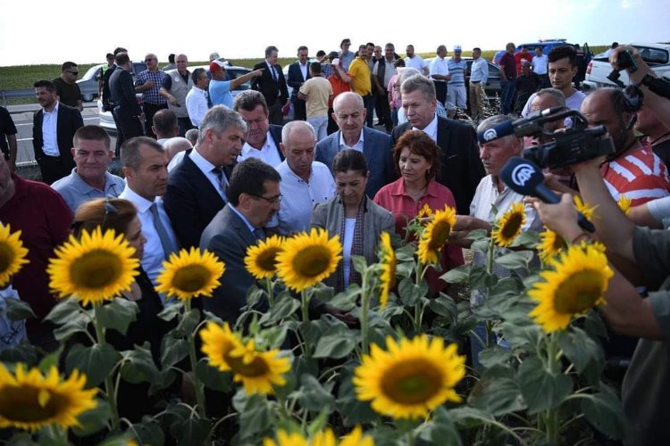 Keşan’da çayır tırtılı istilası -