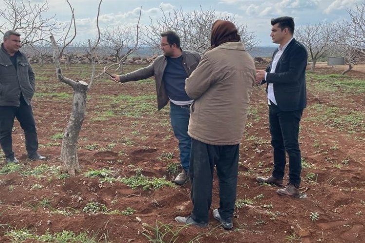 Kilis'te Antepfıstığı üreticileri bilgilendirildi -