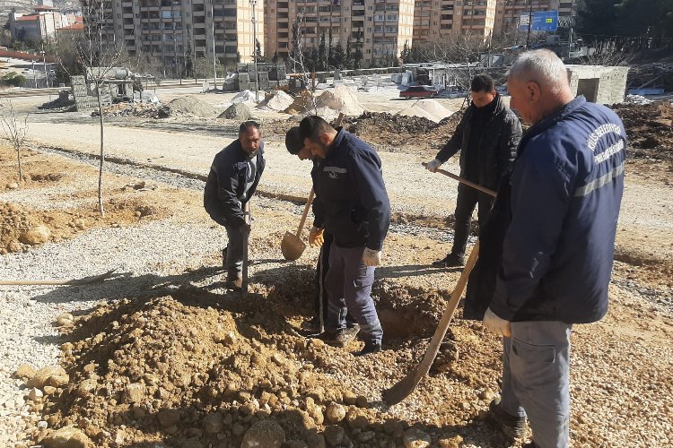 Kilis'te yeni açılan cadde ve bulvarlara ağaç dikimi yapıldı -