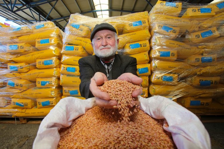 Kocaeli'den çiftçilere tohum desteği -