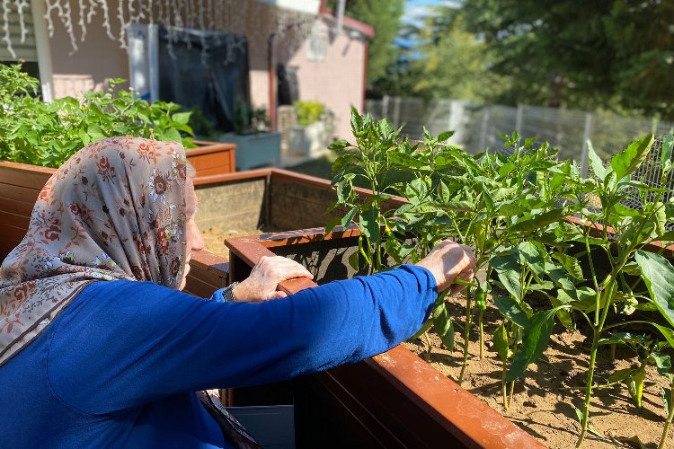 Kocaeli İzmit''te Alzheimer Yaşam' çiçek gibi oldu -