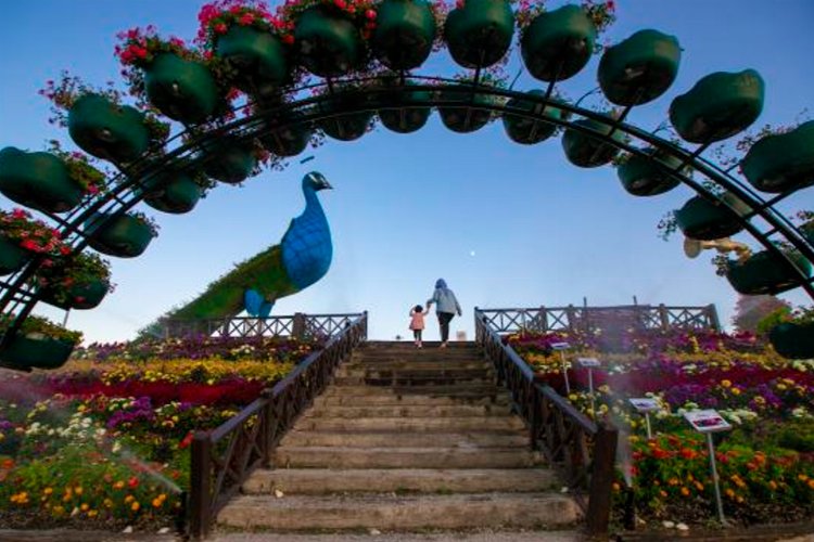 Konya Selçuklu Çiçek Bahçesi'nde en iyi kareler belli oldu -