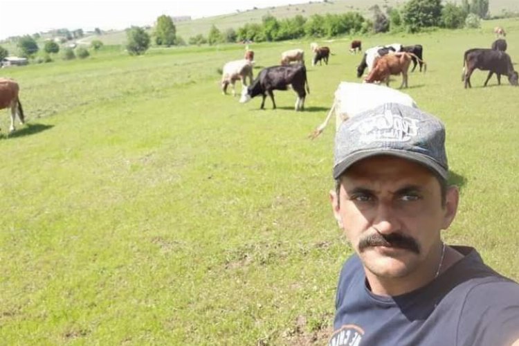 Kurbanlık düveleri kayboldu... Heryerde düvelerini arıyor! -