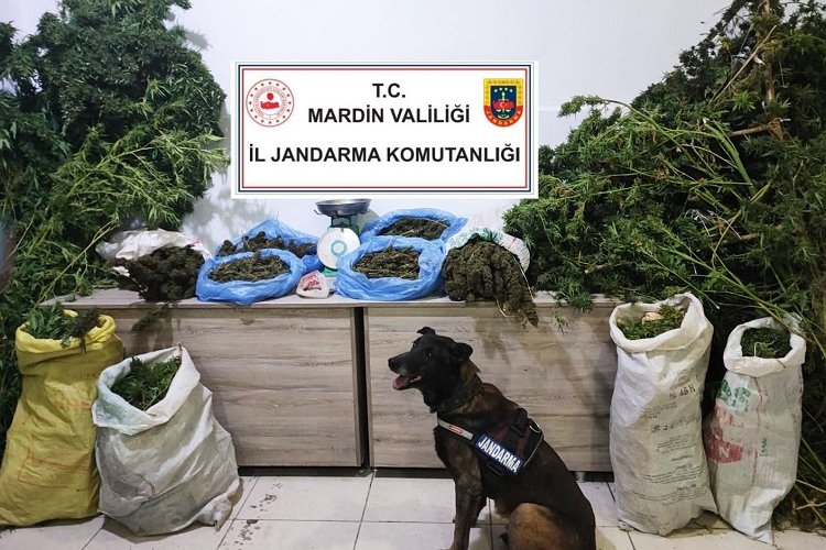 Manav değil uyuşturucu satıcısı -