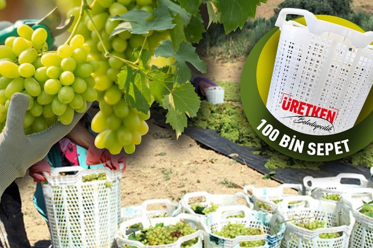 Manisa'da üzüm üreticilerine 'sepet' desteği -