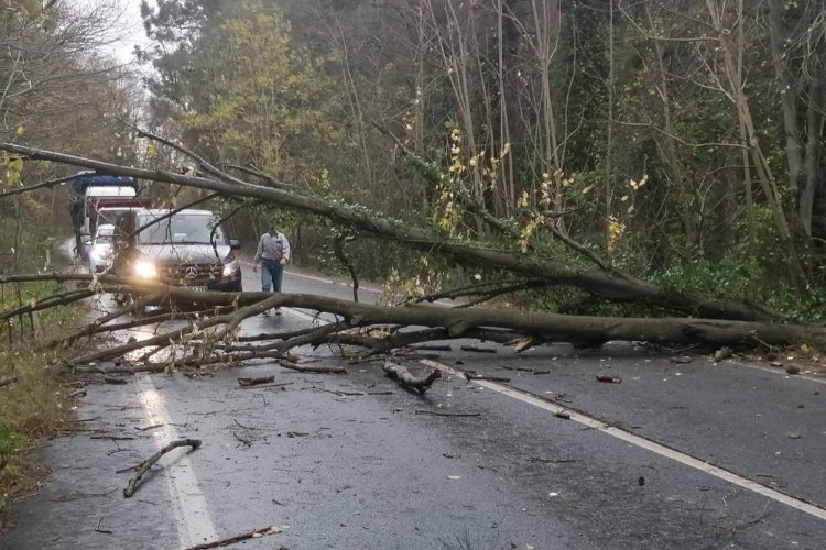 Meteoroloji Bursalıları uyardı, AFAD mesaj çekti -