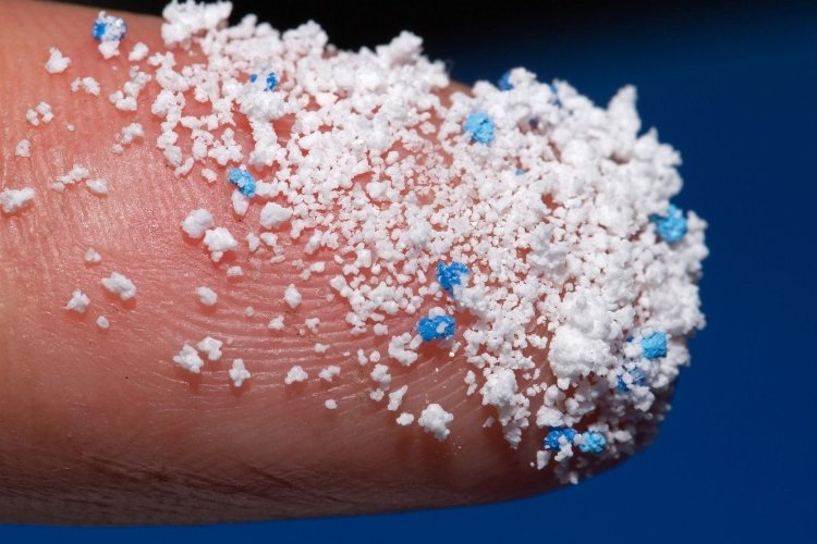 Mikroplastikler her yerde yaşamı tehdit ediyor! -