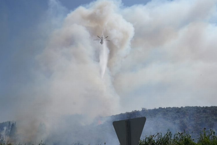 Milas'ta yangın! 2 mahalleyi tehdit ediyor -