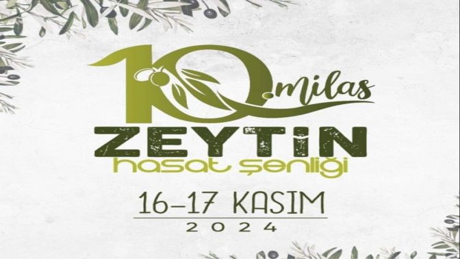 Milasta zeytin hasat şenliği için geri sayım başladı