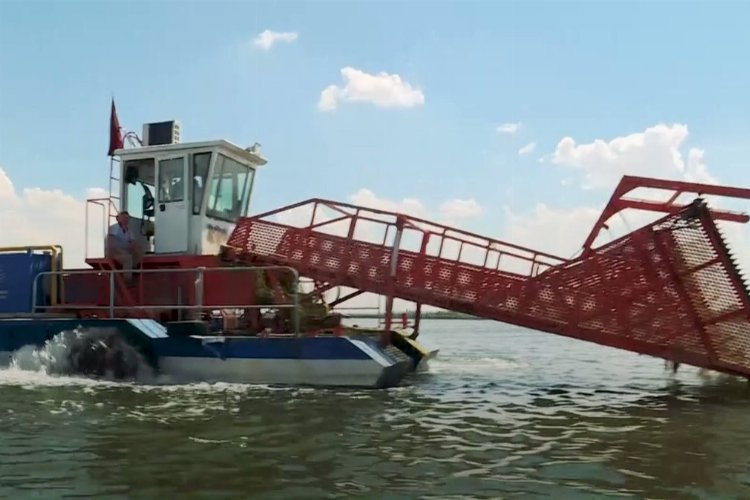 Mogan Gölü yeniden hayat buldu -