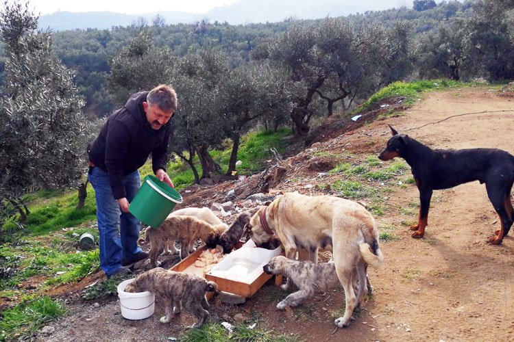 Mudanyalı muhtardan can dostlara ziyafet -