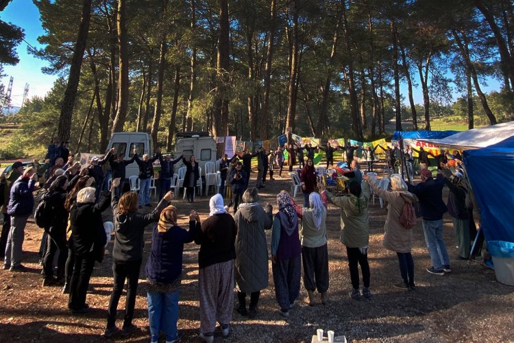Muğla'da Akbelen Ormanı için ortak 'sivil' çağrı -