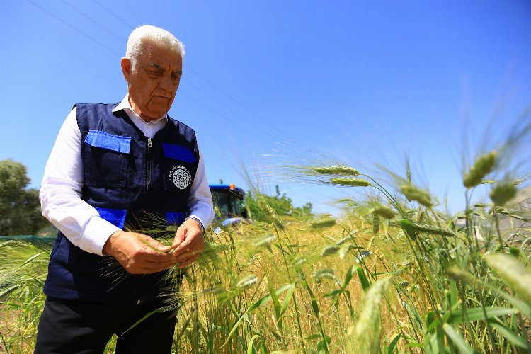 Muğla'da tarım ve hayvancılığa büyük destek -