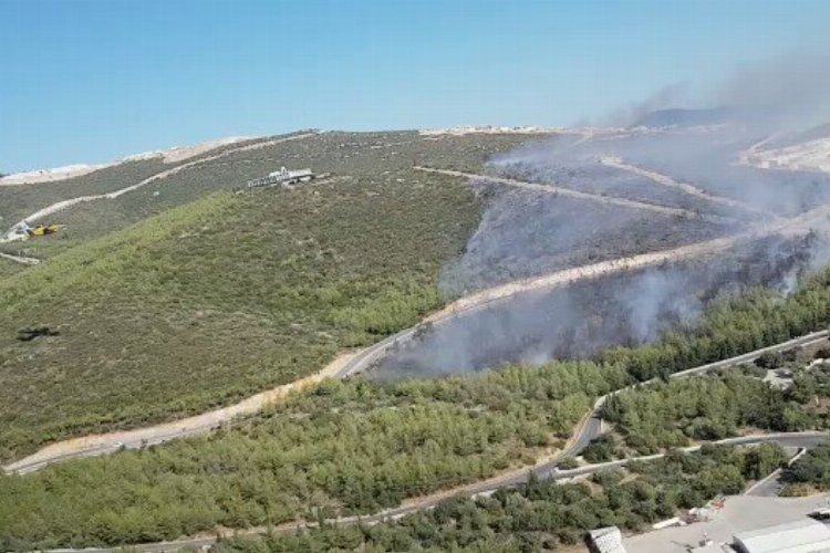 Muğla Milas'taki orman yangınına müdahale sürüyor -