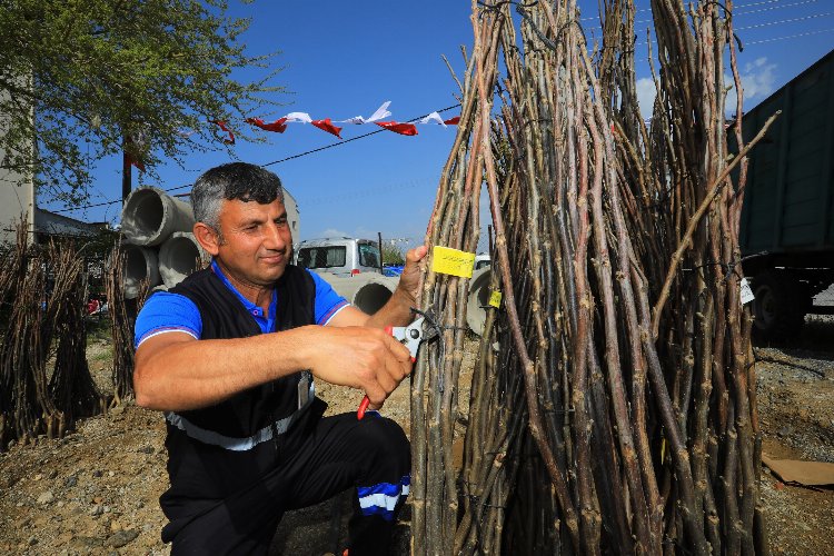 Muğla Fethiye’deki kırsal kalkınma projeleri devam ediyor -