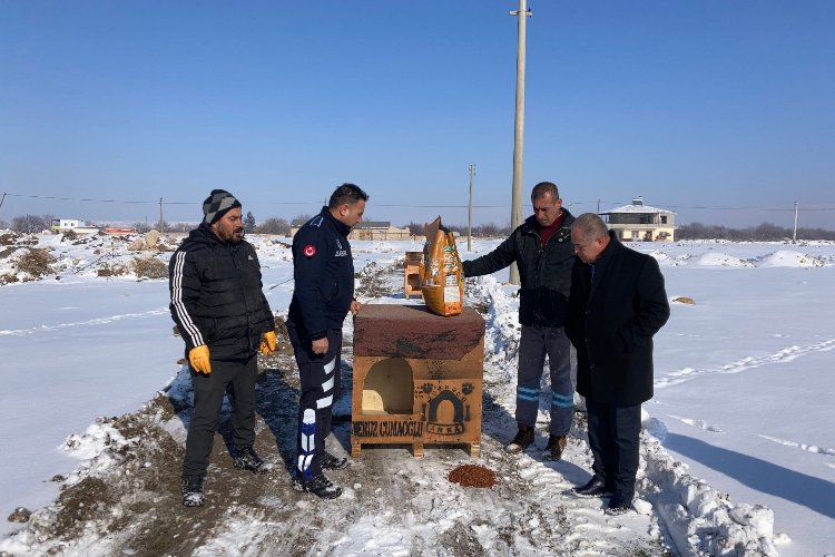 Niğde Kemerhisar Belediyesi sokaktaki dostlarını unutmadı -
