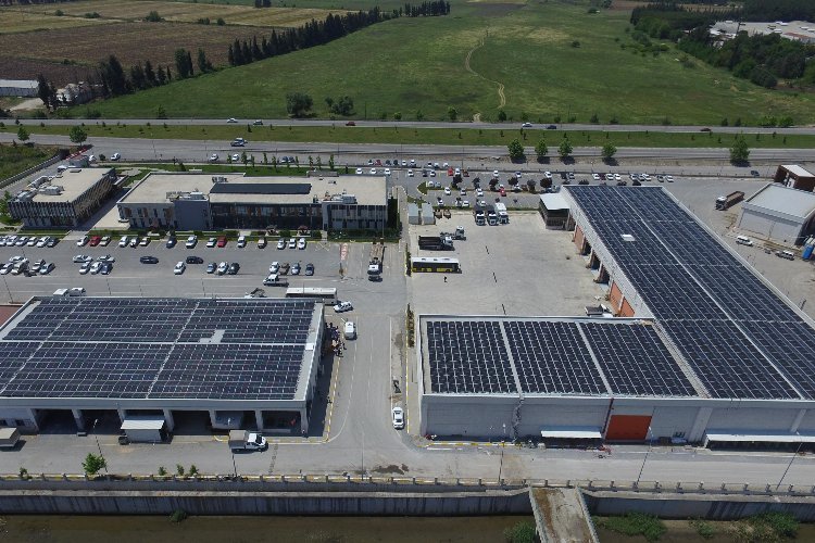 Santral devrede girdi, 5 bin 600 ağaç kurtuldu -